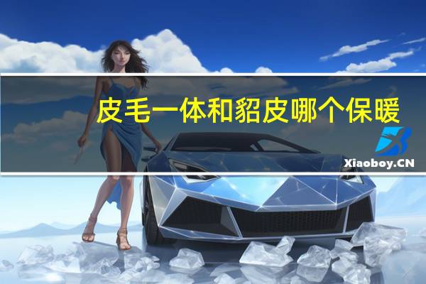 皮毛一体和貂皮哪个保暖
