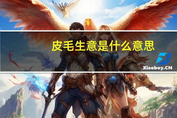 皮毛生意是什么意思