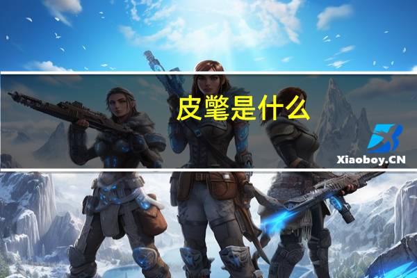 皮氅是什么