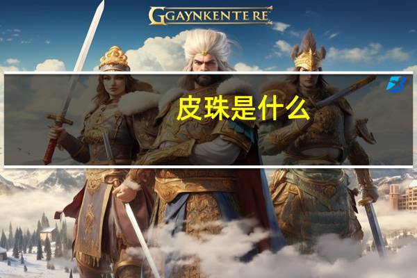皮珠是什么