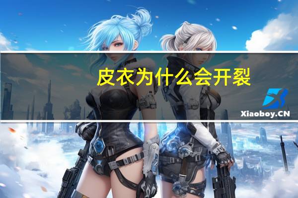 皮衣为什么会开裂