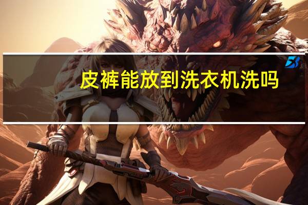 皮裤能放到洗衣机洗吗