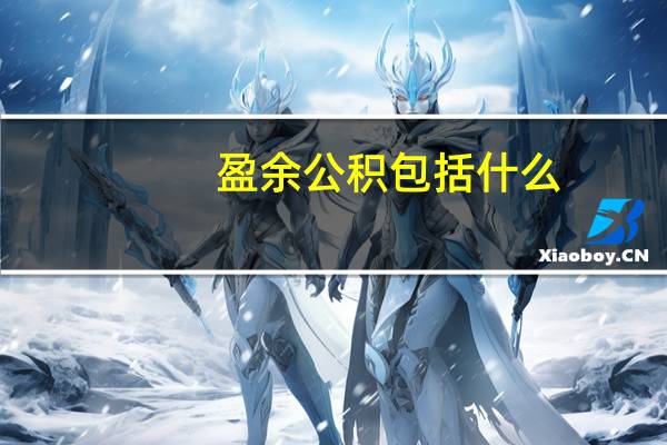 盈余公积包括什么