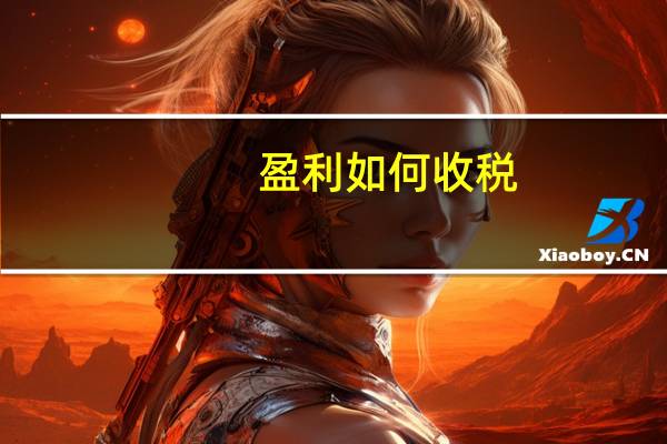 盈利如何收税