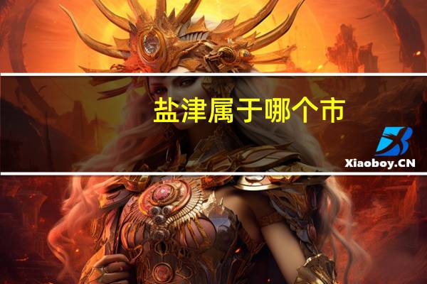盐津属于哪个市