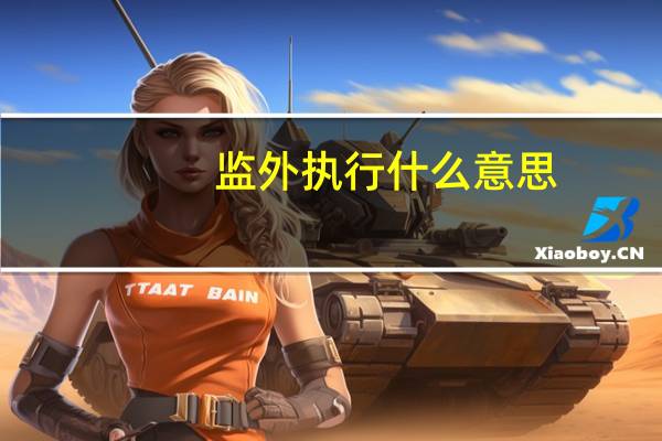 监外执行什么意思