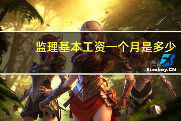 监理基本工资一个月是多少
