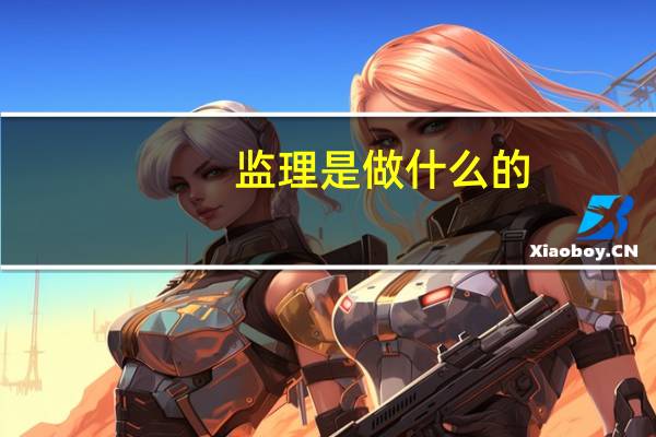 监理是做什么的