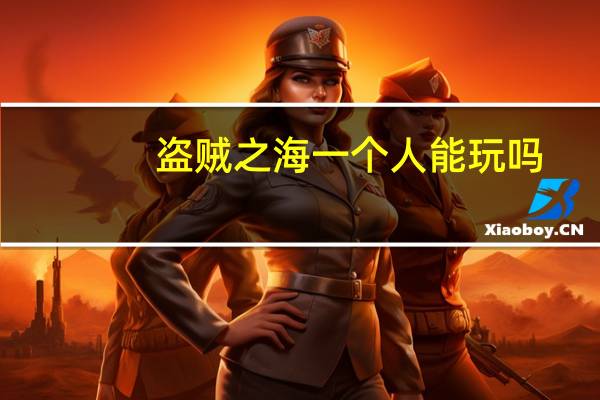 盗贼之海一个人能玩吗