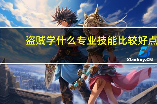 盗贼学什么专业技能比较好点