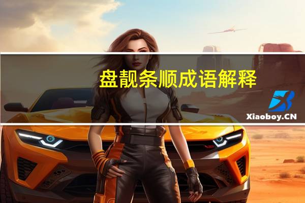 盘靓条顺成语解释