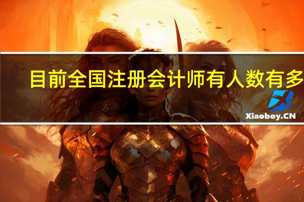 目前全国注册会计师有人数有多少