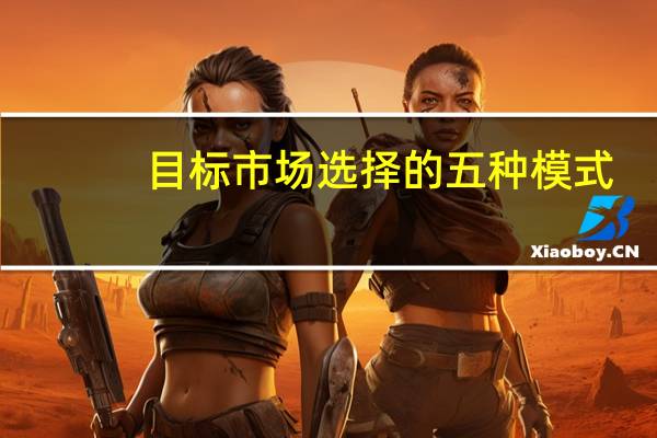 目标市场选择的五种模式
