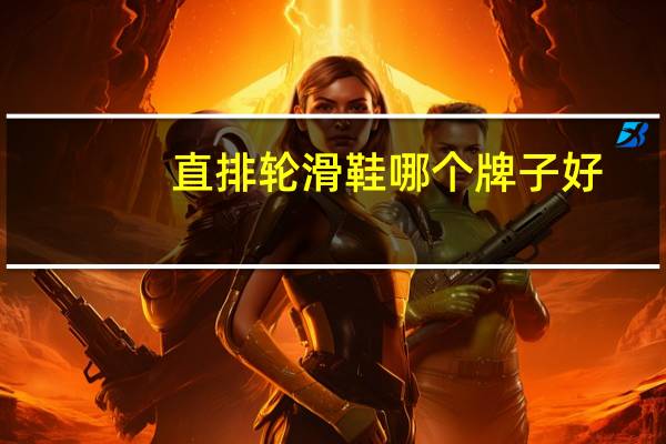 直排轮滑鞋哪个牌子好