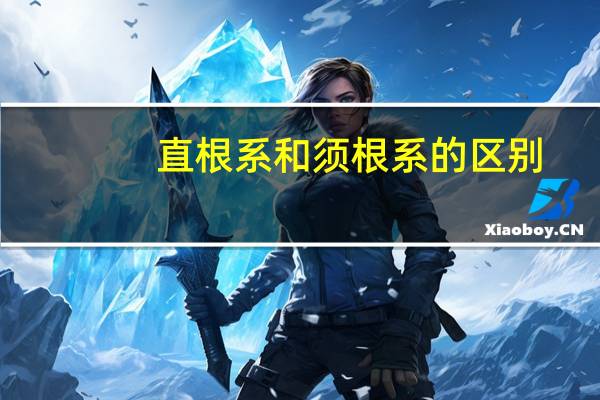 直根系和须根系的区别