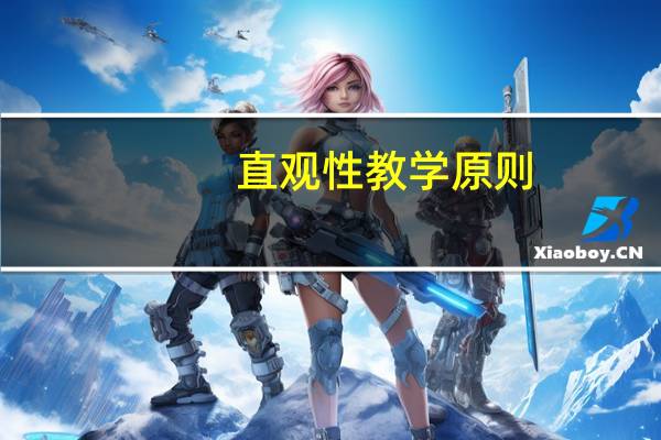 直观性教学原则