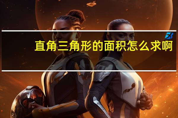 直角三角形的面积怎么求啊