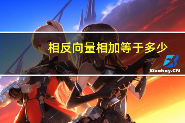 相反向量相加等于多少
