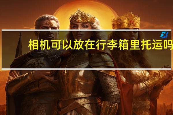 相机可以放在行李箱里托运吗