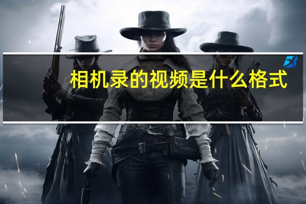 相机录的视频是什么格式