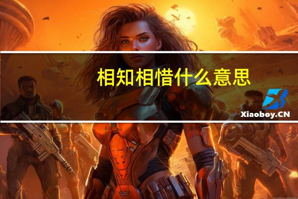 相知相惜什么意思