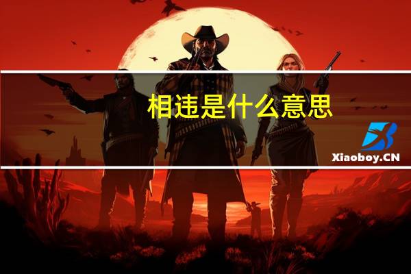 相违是什么意思