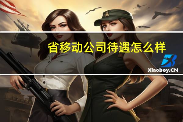 省移动公司待遇怎么样