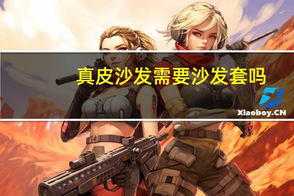 真皮沙发需要沙发套吗