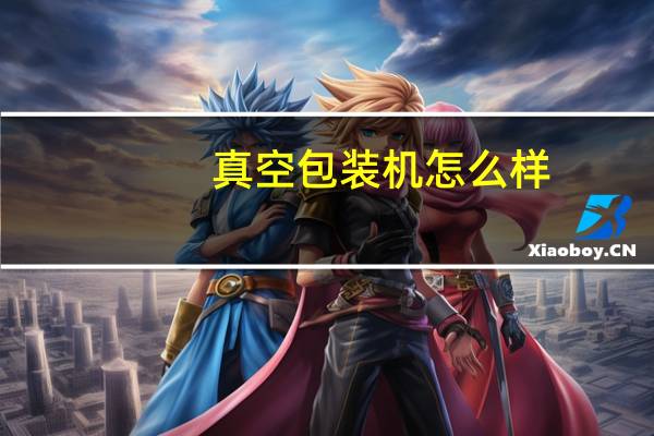真空包装机怎么样