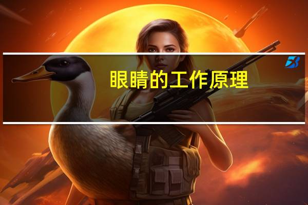 眼睛的工作原理