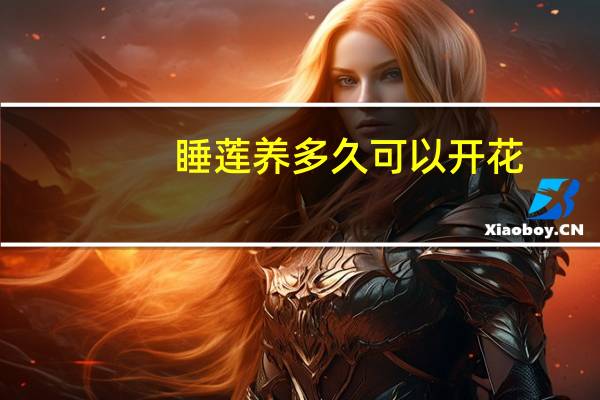 睡莲养多久可以开花