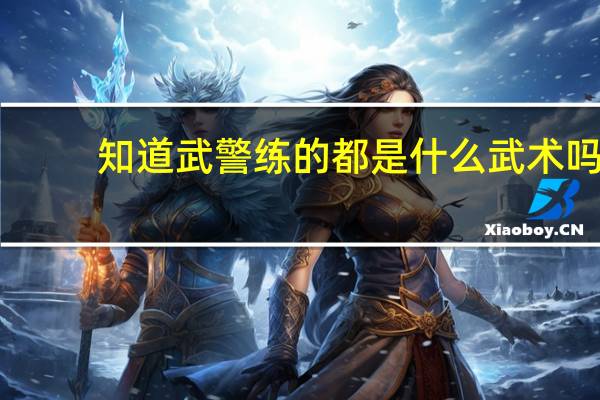 知道武警练的都是什么武术吗