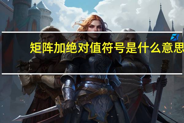 矩阵加绝对值符号是什么意思