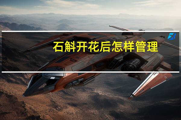 石斛开花后怎样管理