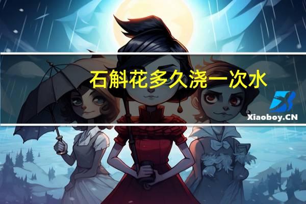 石斛花多久浇一次水