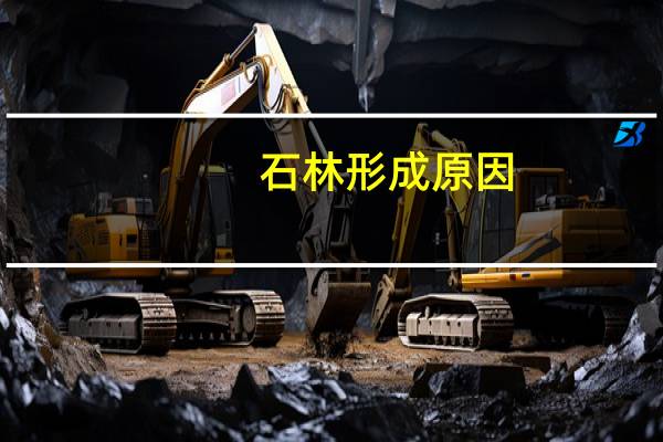石林形成原因