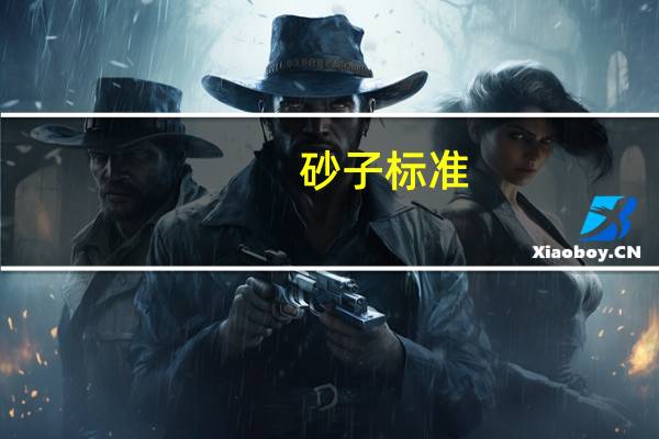 砂子标准