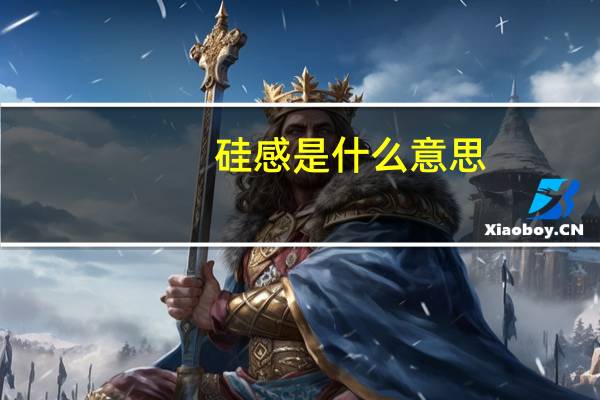 硅感是什么意思