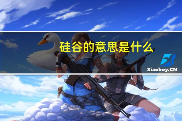 硅谷的意思是什么