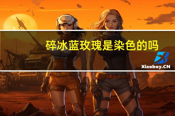 碎冰蓝玫瑰是染色的吗