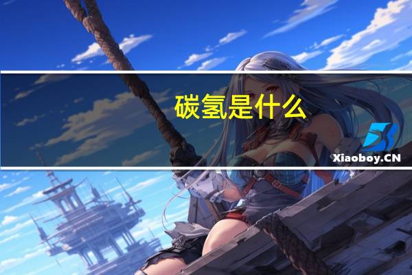 碳氢是什么