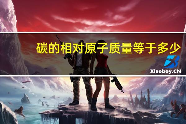 碳的相对原子质量等于多少