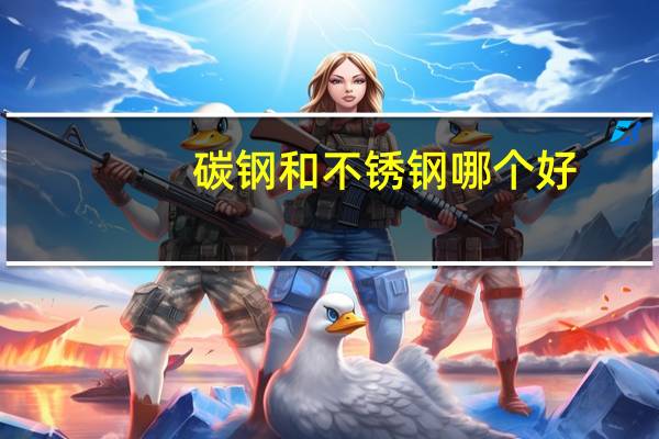 碳钢和不锈钢哪个好