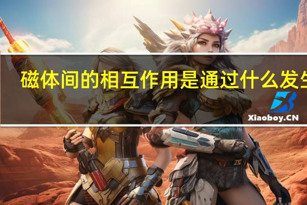 磁体间的相互作用是通过什么发生的