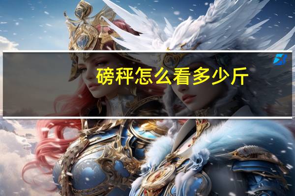 磅秤怎么看多少斤