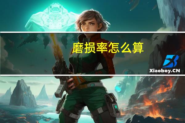 磨损率怎么算