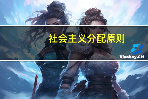社会主义分配原则