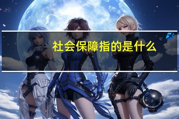 社会保障指的是什么