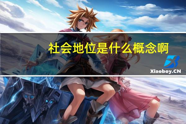 社会地位是什么概念啊