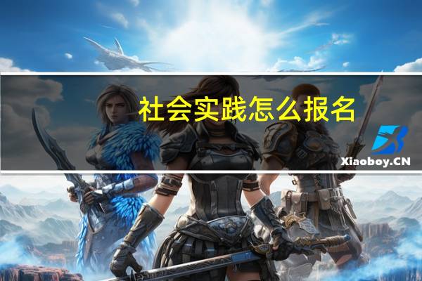 社会实践怎么报名